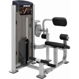 Разгибание спины precor vitality series c011es %Future_395 (фото 1)