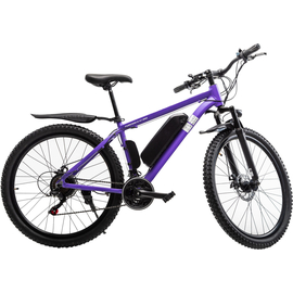 Электровелосипед FURENDO E-X1 350 фиолетовый