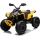 Детский электроквадроцикл rivertoys brp can-am renegade y333yy-green %Future_395 (фото 1)