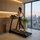 Беговая дорожка cardiopower t25 new %Future_395 (фото 1)
