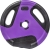 Диск для штанги sundays fitness ir91041 5 кг %Future_395 (фото 1)