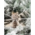 Искусственная елка binoshe saint paul led 350 заснеженная с натуральной шишкой 180 см %Future_395 (фото 6)