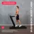 Беговая дорожка домашняя svensson body labs empower %Future_395 (фото 12)