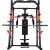 Силовая станция  машина смита dfc powergym d900 %Future_395 (фото 2)