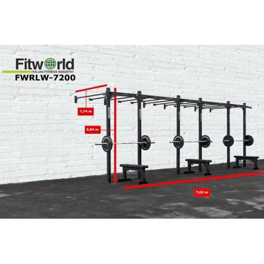 Рама для функционального тренинга FITWORLD FWRWL-7200 с креплением к стене