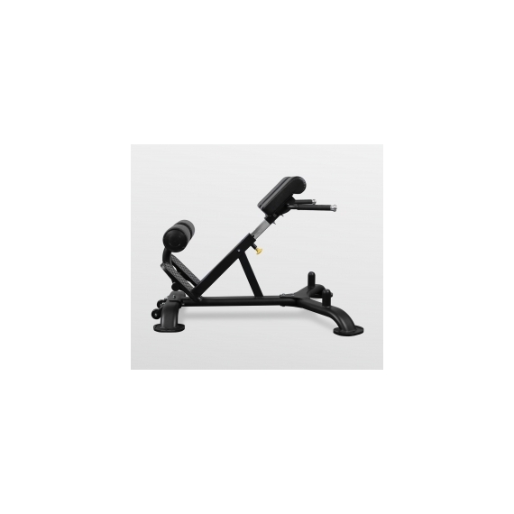 Гиперэкстензия bronze gym br-1010 %Future_395 (фото 2)