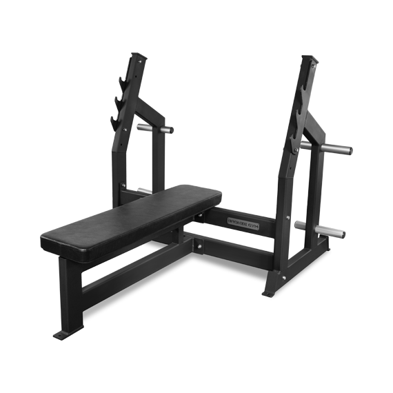 Скамья для жима горизонтальная bronze gym al-304 %Future_395 (фото 1)