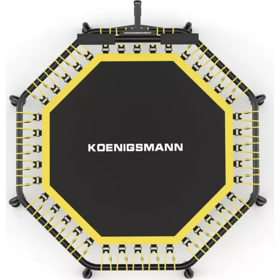 Батут koenigsmann jumper pro %Future_395 (фото 4)