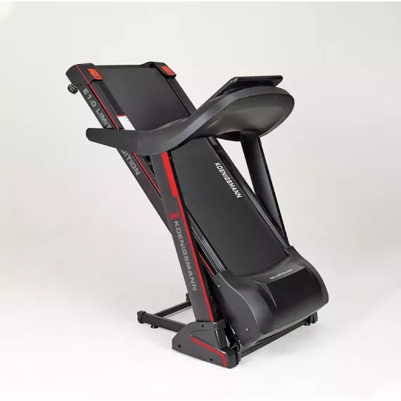 Беговая дорожка koenigsmann e1.0 limited edition %Future_395 (фото 2)