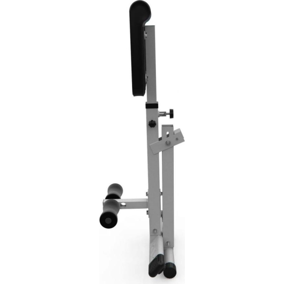 Гиперэкстензия dfc homegym sj1006w белый %Future_395 (фото 5)