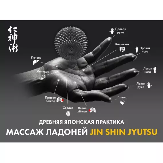 Массажное кресло fujimo 氣 combat 4d коричневый %Future_395 (фото 10)